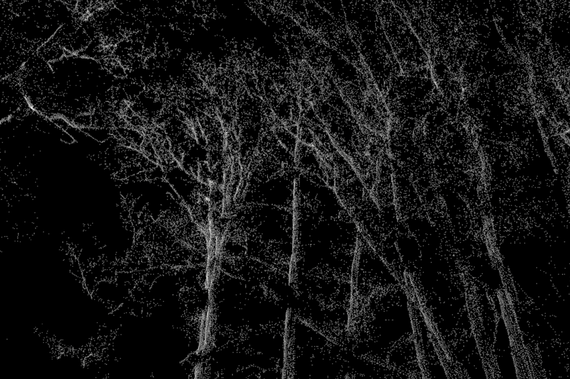 Les AVEUGLES — 5